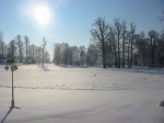 Parc en hiver