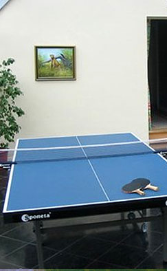 Le ping-pong, une des nombreuses activités à votre disposition durant votre passage au Château.